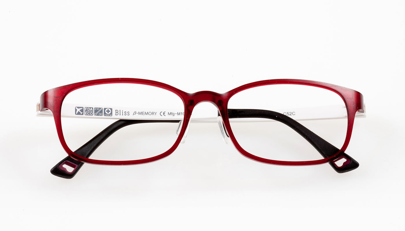 BS3004
